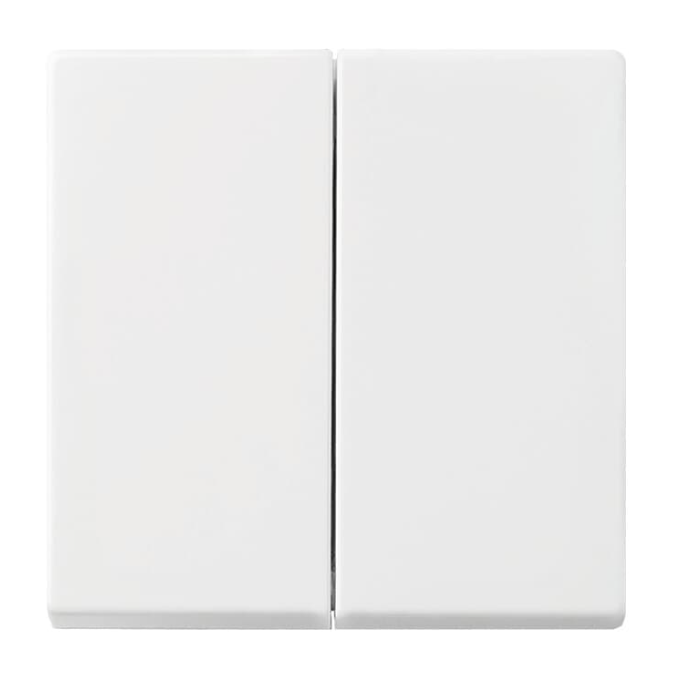 Bild von Schalter Wippe 2-fach BJ-2505-914